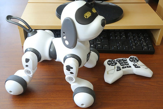 Interactive Talking Robot R/C Dog with Remote Control