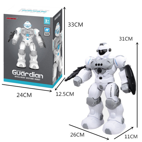 Programmable gesture sensing intelligent robot