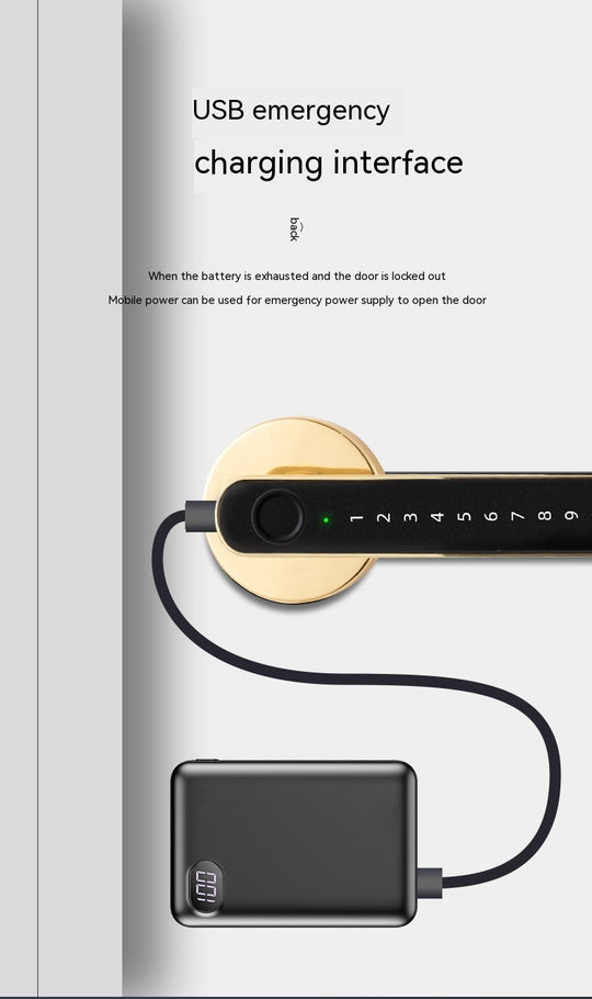 Smart Fingerprint Lock - App Connectivity, Password (Code), Physical Key - Gateways Available