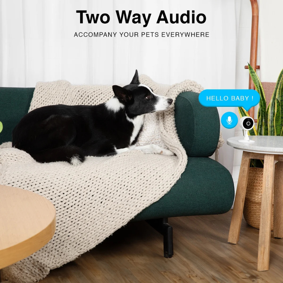 Instachew PurrSight Mini (IC137W) Cámara para Mascotas, Cámara de Seguridad Interior Blanca (NUEVO