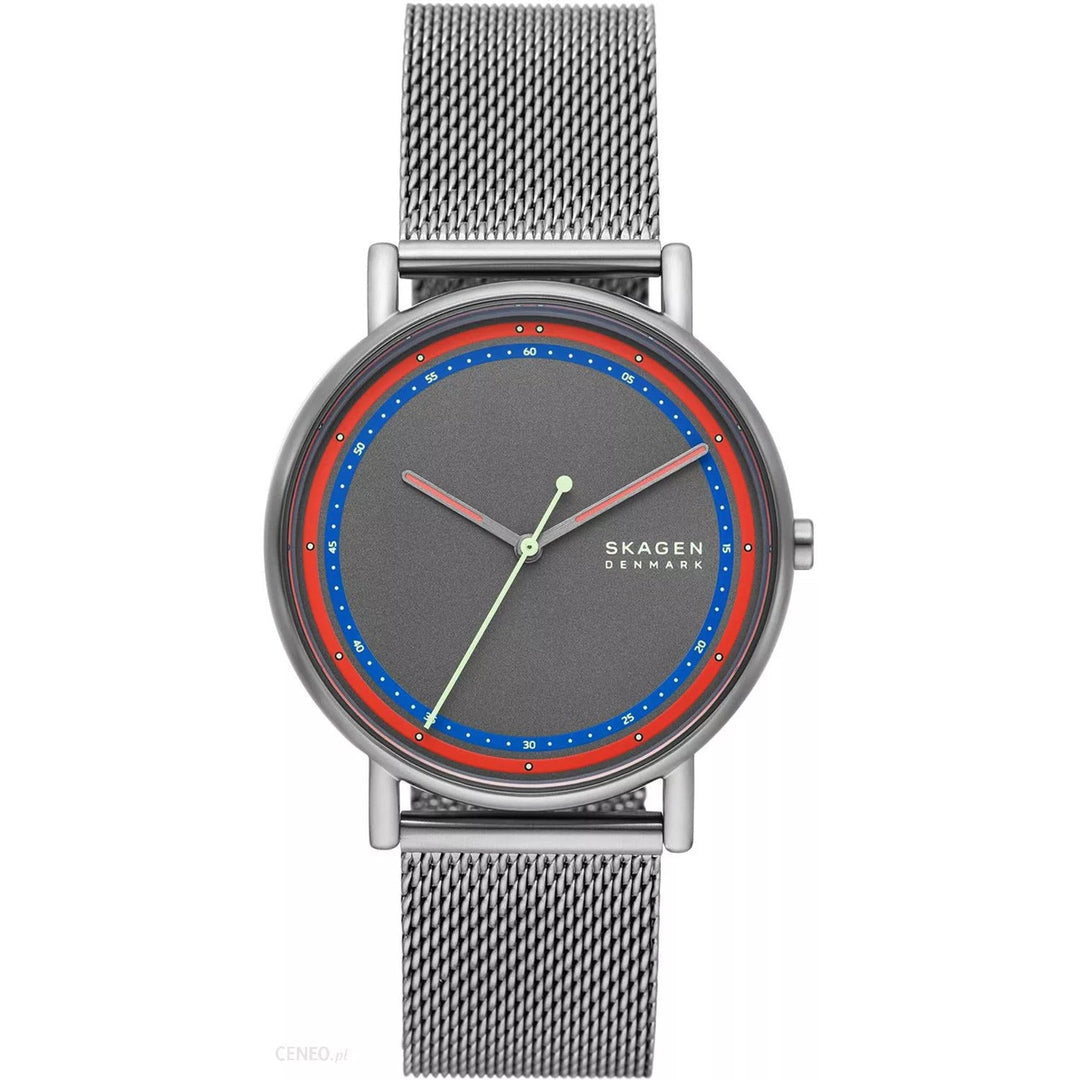 Мужские часы Skagen Signatur