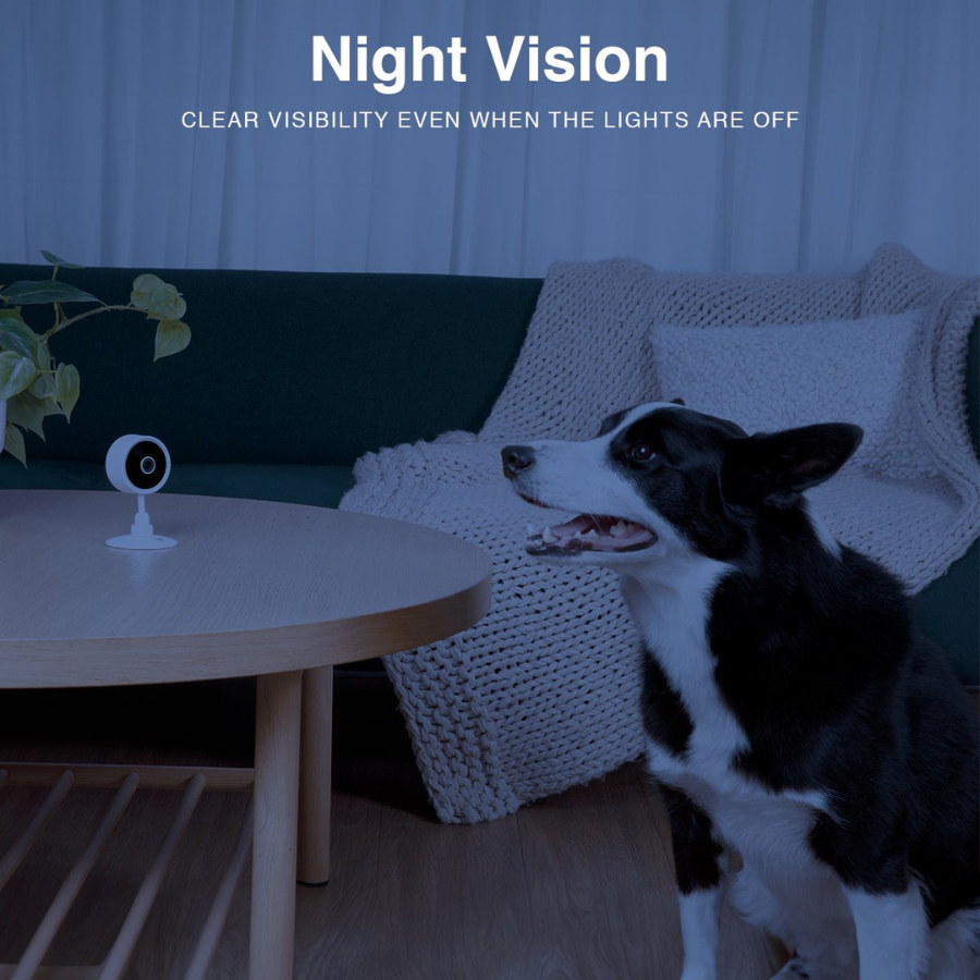 Instachew PurrSight Mini (IC137W) Cámara para Mascotas, Cámara de Seguridad Interior Blanca (NUEVO