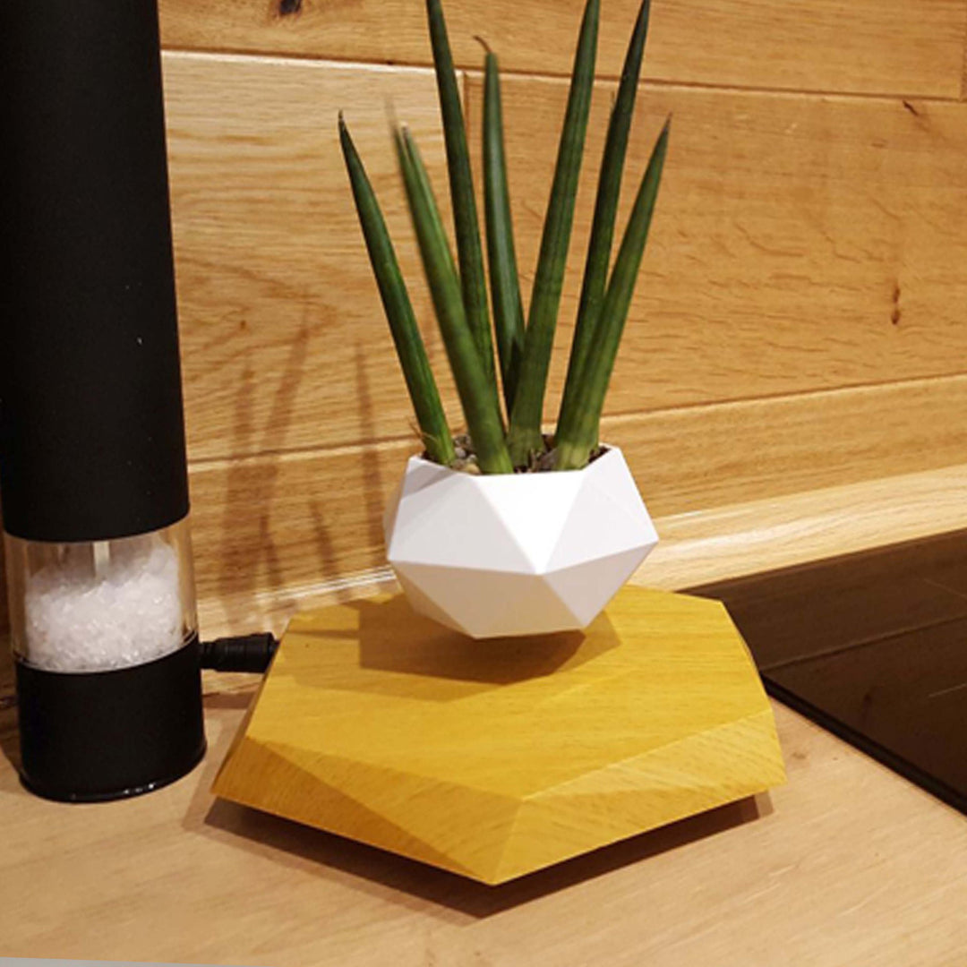 Floating Magnetic Levitating Flower Pot - Bonsai Air Plant - Modern Creative Decor & Gift