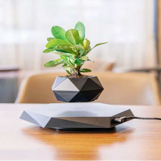 Floating Magnetic Levitating Flower Pot - Bonsai Air Plant - Modern Creative Decor & Gift