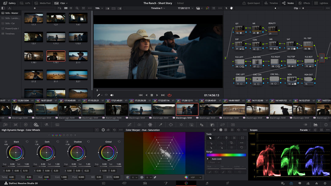 Master DaVinci Resolve: Personalized 1-on-1 Remote Training Session