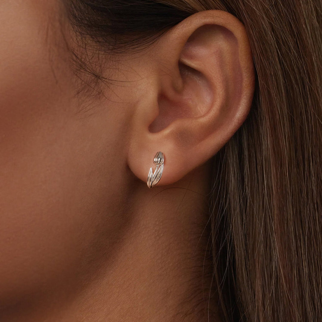 925 Sterling Silver White Gold Plated Earrings for Women