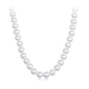 925 Sterling Silver White Gold Plated 39-45.5cm Quality Shell Pearl Necklace for Women