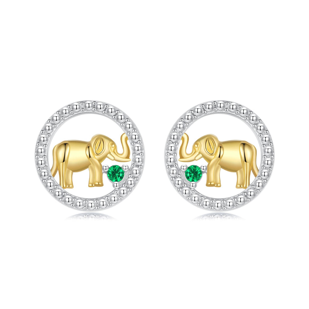 925 Sterling Silver Earrings with CZ in White Gold Plated for Women