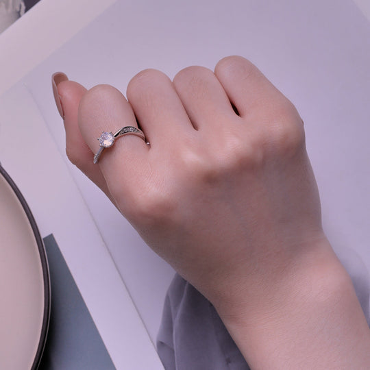 Photo of {{ product.title | truncate: 80, '' | escape }}