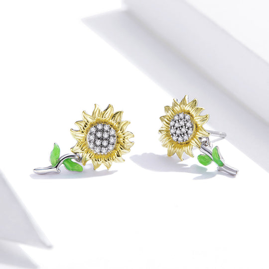Photo of {{ product.title | truncate: 80, '' | escape }}