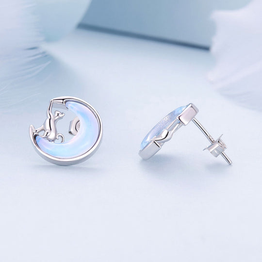 Photo of {{ product.title | truncate: 80, '' | escape }}