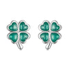 925 Sterling Silver Enamel Plated Platinum Earrings for Women