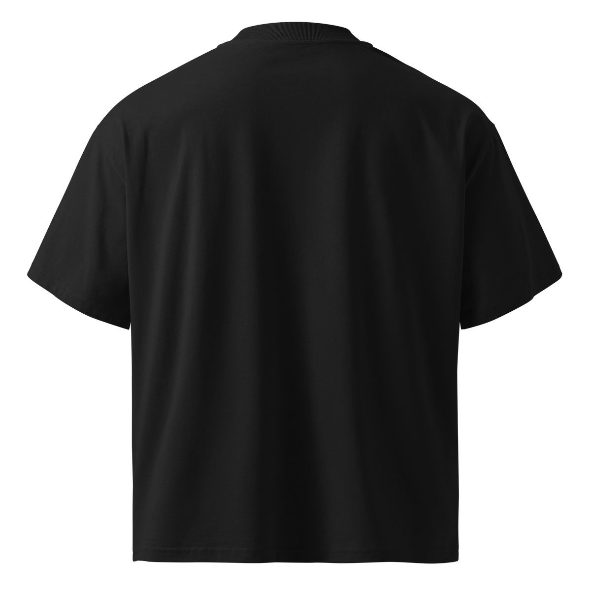 Ghost Mode: Enabled – Oversized Organic High-Neck T-Shirt - image 6 of 20