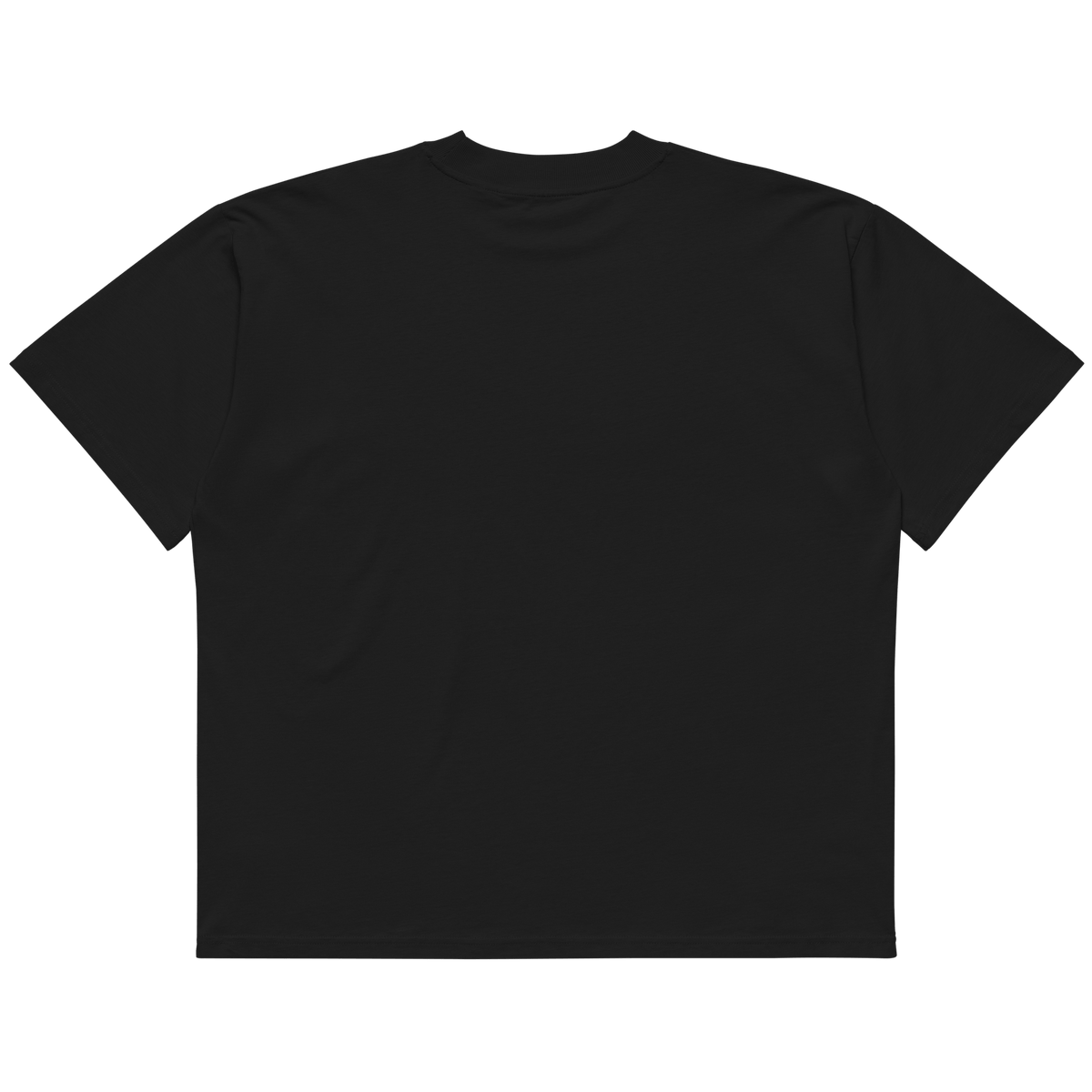 STS “Stay Hidden Stay Secure” Cybersecurity Oversized Organic High-Neck T-Shirt - imagen 4 de 10
