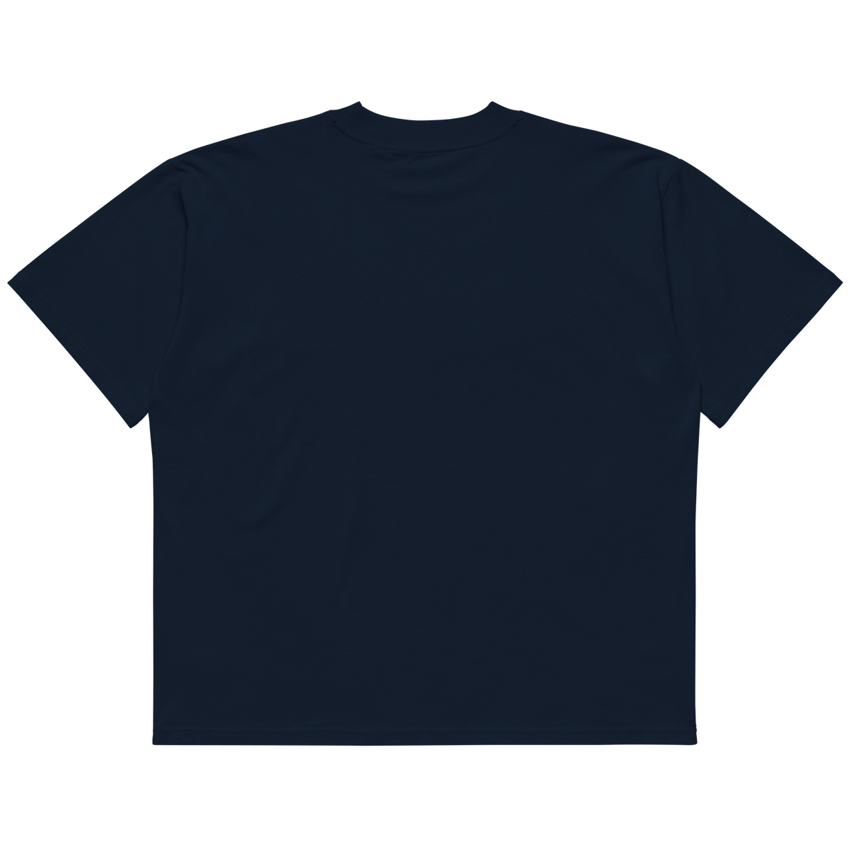 STS “Stay Hidden Stay Secure” Cybersecurity Oversized Organic High-Neck T-Shirt - imagen 2 de 10