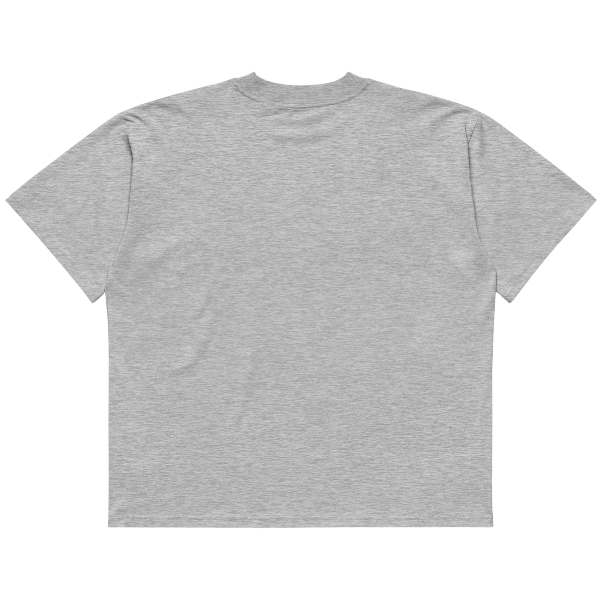 STS “Stay Hidden Stay Secure” Cybersecurity Oversized Organic High-Neck T-Shirt - imagen 6 de 10