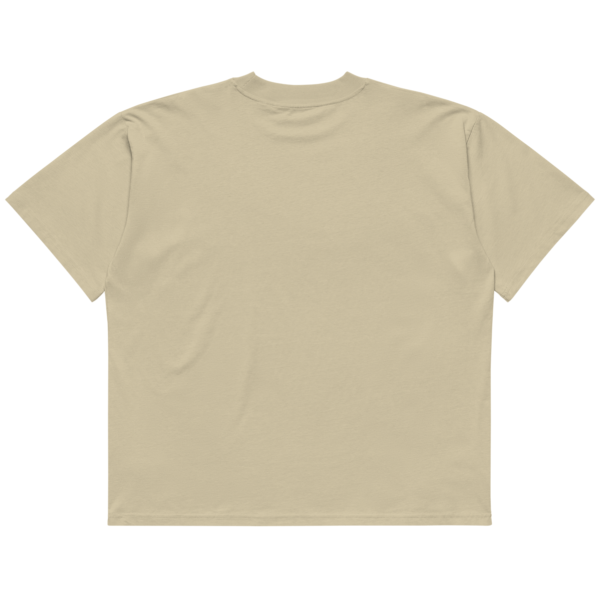 STS “Stay Hidden Stay Secure” Cybersecurity Oversized Organic High-Neck T-Shirt - imagen 8 de 10