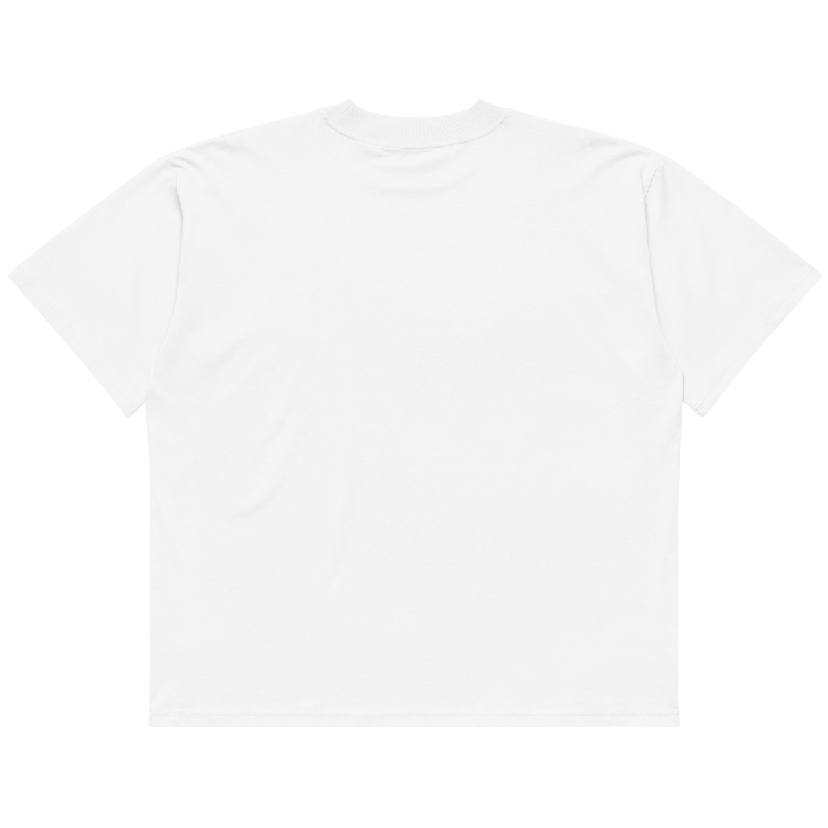STS “Stay Hidden Stay Secure” Cybersecurity Oversized Organic High-Neck T-Shirt - imagen 10 de 10